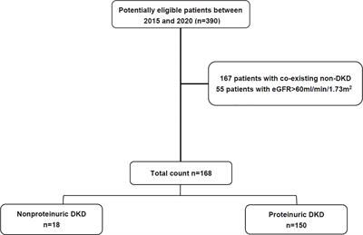 Clinical and Pathological Characteristics of Patients With Nonproteinuric Diabetic Nephropathy